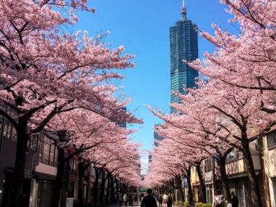 Майский круиз из Токио