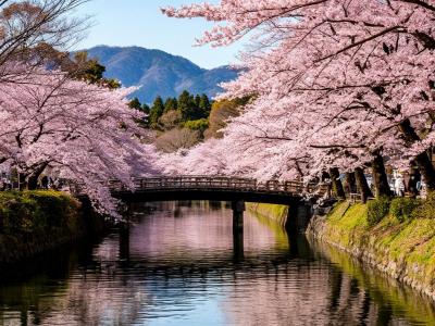 Весна в Японии